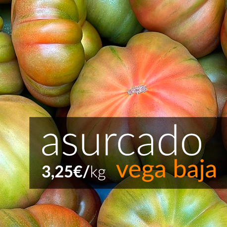 Tomate asurcado terreno - Vega Baja