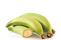 Plátano macho EC